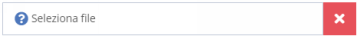 Campo seleziona file 1